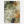 Search | Canvastavla