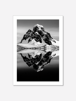 Arctic | Poster