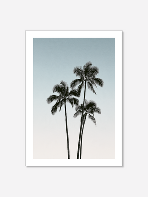 Palm Trees | Poster