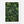 Green Roof | Poster