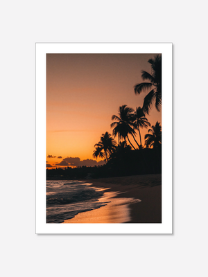 Palm Sunset | Poster