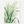 Green Serenity | Canvastavla
