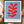 Red Algae on a Sky Blue Background - Henri Matisse | Poster