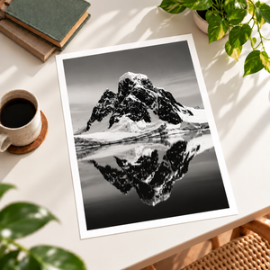 Arctic | Poster