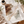 Earth Waves | Poster