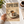 Espresso | Poster