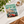 Monaco Grand Prix | Poster