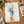 Growth Into Light | Poster