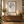 Colibri Beauty | Poster